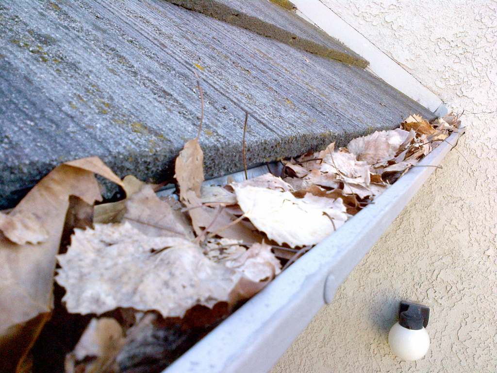 leaves on the gutter, MHI Roofing - Cape Coral
