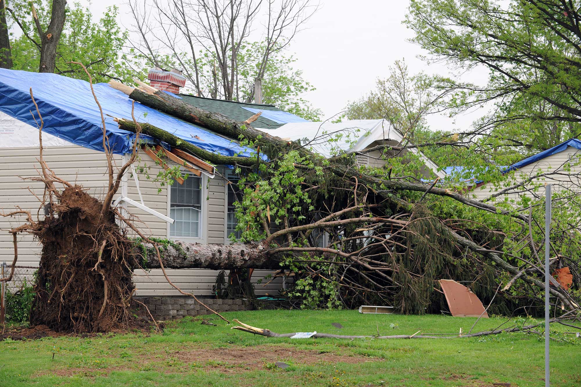 common causes of roof damage, roof damage causes, roof damage signs