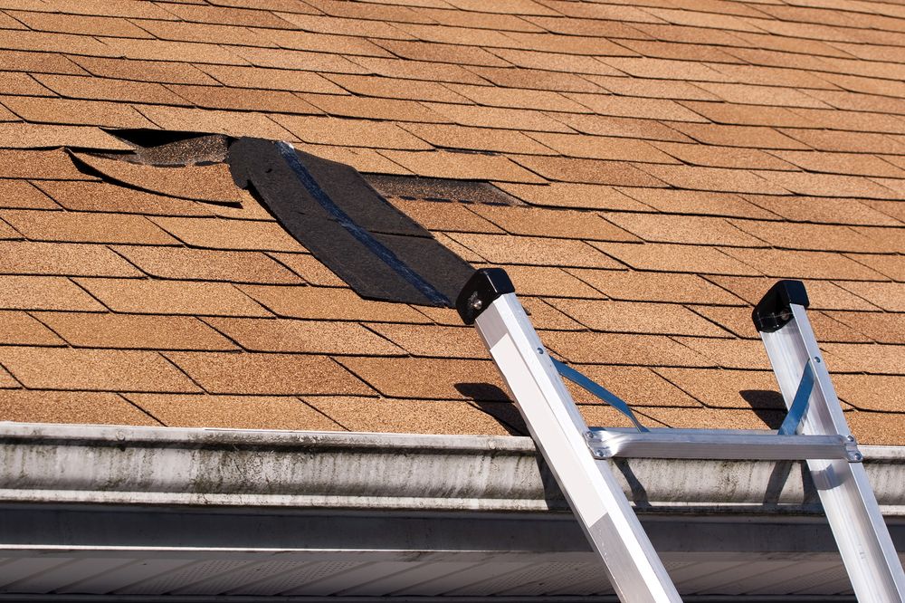 prevent roof failure in cape coral